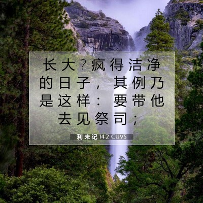 Picture 07 - 利 未 记 14:2 CUVS - 长 大 ? 疯 得 洁 净 的 日 子 ， 其 例 - Bible Verse Picture