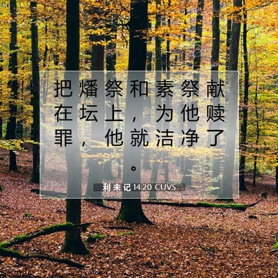 Picture 07 - 利 未 记 14:20 CUVS - 把 燔 祭 和 素 祭 献 在 坛 上 ， 为 - Bible Verse Picture