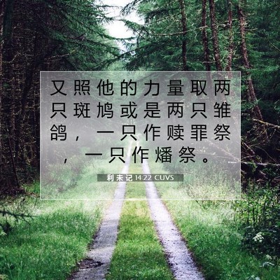 Picture 07 - 利 未 记 14:22 CUVS - 又 照 他 的 力 量 取 两 只 斑 鸠 或 - Bible Verse Picture