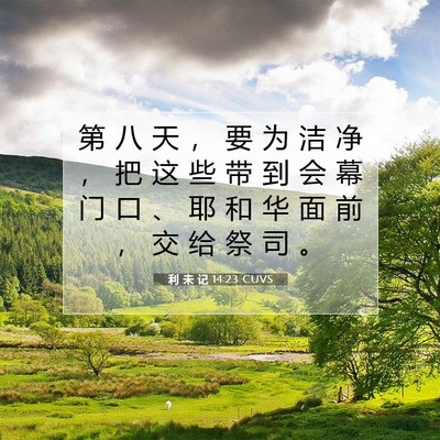 Picture 07 - 利 未 记 14:23 CUVS - 第 八 天 ， 要 为 洁 净 ， 把 这 些 - Bible Verse Picture