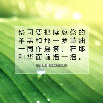 Picture 07 - 利 未 记 14:24 CUVS - 祭 司 要 把 赎 愆 祭 的 羊 羔 和 那 - Bible Verse Picture