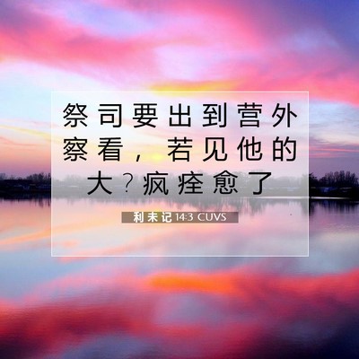 Picture 07 - 利 未 记 14:3 CUVS - 祭 司 要 出 到 营 外 察 看 ， 若 见 - Bible Verse Picture