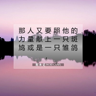 Picture 07 - 利 未 记 14:30 CUVS - 那 人 又 要 照 他 的 力 量 献 上 一 - Bible Verse Picture
