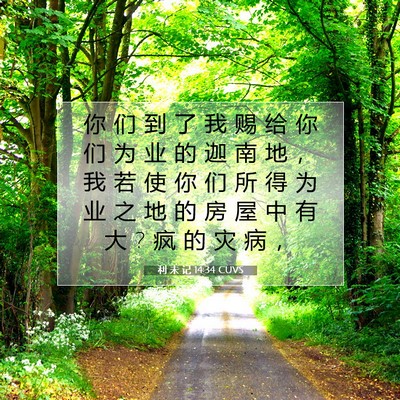 Picture 07 - 利 未 记 14:34 CUVS - 你 们 到 了 我 赐 给 你 们 为 业 的 - Bible Verse Picture