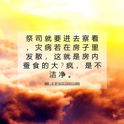 Picture 07 - 利 未 记 14:44 CUVS - 祭 司 就 要 进 去 察 看 ， 灾 病 若 - Bible Verse Picture
