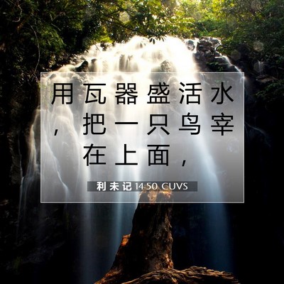 Picture 07 - 利 未 记 14:50 CUVS - 用 瓦 器 盛 活 水 ， 把 一 只 鸟 宰 - Bible Verse Picture