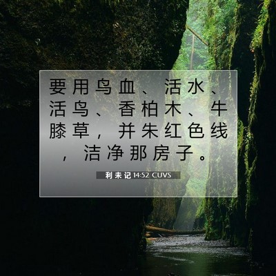 Picture 07 - 利 未 记 14:52 CUVS - 要 用 鸟 血 、 活 水 、 活 鸟 、 香 - Bible Verse Picture