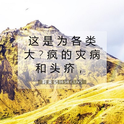 Picture 07 - 利 未 记 14:54 CUVS - 这 是 为 各 类 大 ? 疯 的 灾 病 和 头 - Bible Verse Picture