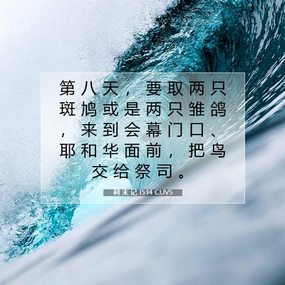 Picture 07 - 利 未 记 15:14 CUVS - 第 八 天 ， 要 取 两 只 斑 鸠 或 是 - Bible Verse Picture
