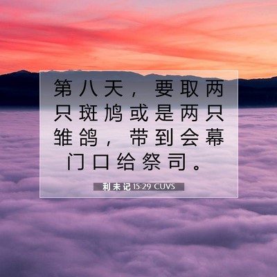 Picture 07 - 利 未 记 15:29 CUVS - 第 八 天 ， 要 取 两 只 斑 鸠 或 是 - Bible Verse Picture