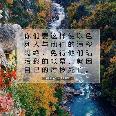 Picture 07 - 利 未 记 15:31 CUVS - 你 们 要 这 样 使 以 色 列 人 与 他 - Bible Verse Picture
