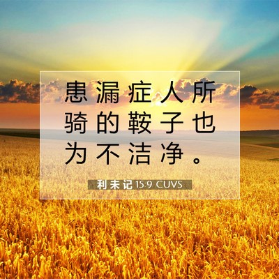 Picture 07 - 利 未 记 15:9 CUVS - 患 漏 症 人 所 骑 的 鞍 子 也 为 不 - Bible Verse Picture