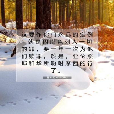 Picture 07 - 利 未 记 16:34 CUVS - 这 要 作 你 们 永 远 的 定 例 ─ 就 - Bible Verse Picture