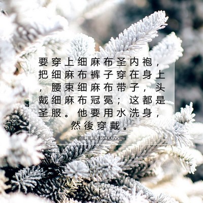 Picture 07 - 利 未 记 16:4 CUVS - 要 穿 上 细 麻 布 圣 内 袍 ， 把 细 - Bible Verse Picture