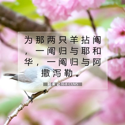 Picture 07 - 利 未 记 16:8 CUVS - 为 那 两 只 羊 拈 阄 ， 一 阄 归 与 - Bible Verse Picture