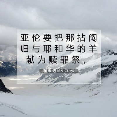 Picture 07 - 利 未 记 16:9 CUVS - 亚 伦 要 把 那 拈 阄 归 与 耶 和 华 - Bible Verse Picture