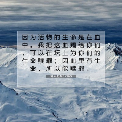 Picture 07 - 利 未 记 17:11 CUVS - 因 为 活 物 的 生 命 是 在 血 中 。 - Bible Verse Picture