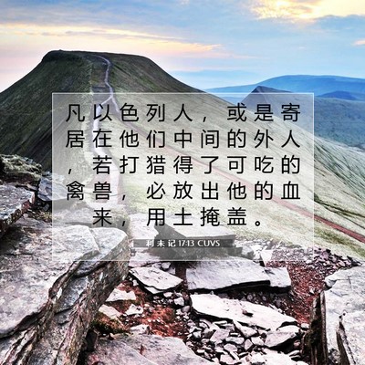 Picture 07 - 利 未 记 17:13 CUVS - 凡 以 色 列 人 ， 或 是 寄 居 在 他 - Bible Verse Picture