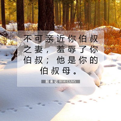 Picture 07 - 利 未 记 18:14 CUVS - 不 可 亲 近 你 伯 叔 之 妻 ， 羞 辱 - Bible Verse Picture