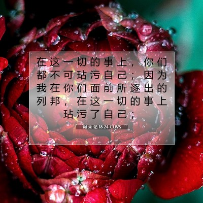 Picture 07 - 利 未 记 18:24 CUVS - 在 这 一 切 的 事 上 ， 你 们 都 不 - Bible Verse Picture