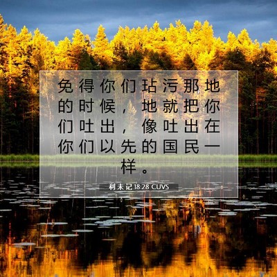 Picture 07 - 利 未 记 18:28 CUVS - 免 得 你 们 玷 污 那 地 的 时 候 ， - Bible Verse Picture