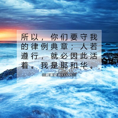 Picture 07 - 利 未 记 18:5 CUVS - 所 以 ， 你 们 要 守 我 的 律 例 典 - Bible Verse Picture