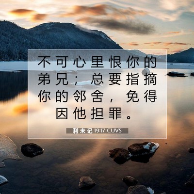 Picture 07 - 利 未 记 19:17 CUVS - 不 可 心 里 恨 你 的 弟 兄 ； 总 要 - Bible Verse Picture