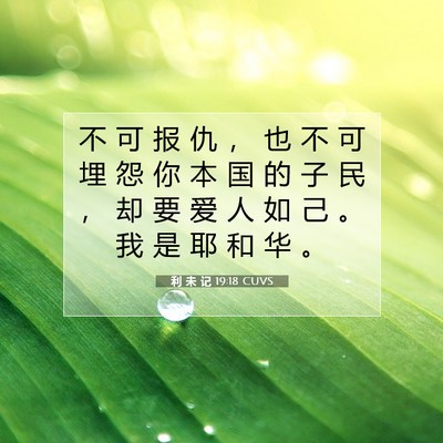 Picture 07 - 利 未 记 19:18 CUVS - 不 可 报 仇 ， 也 不 可 埋 怨 你 本 - Bible Verse Picture