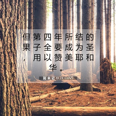 Picture 07 - 利 未 记 19:24 CUVS - 但 第 四 年 所 结 的 果 子 全 要 成 - Bible Verse Picture