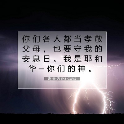 Picture 07 - 利 未 记 19:3 CUVS - 你 们 各 人 都 当 孝 敬 父 母 ， 也 - Bible Verse Picture