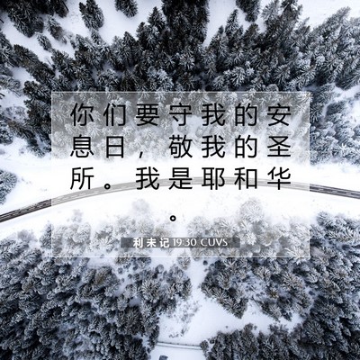 Picture 07 - 利 未 记 19:30 CUVS - 你 们 要 守 我 的 安 息 日 ， 敬 我 - Bible Verse Picture