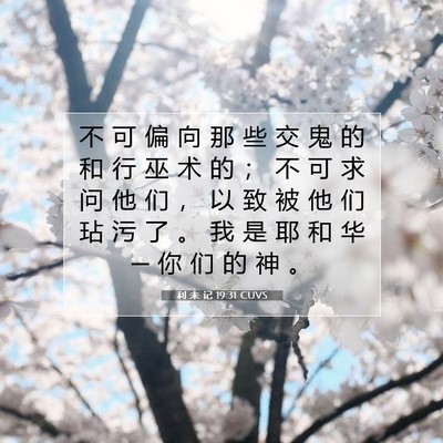 Picture 07 - 利 未 记 19:31 CUVS - 不 可 偏 向 那 些 交 鬼 的 和 行 巫 - Bible Verse Picture