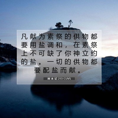Picture 07 - 利 未 记 2:13 CUVS - 凡 献 为 素 祭 的 供 物 都 要 用 盐 - Bible Verse Picture