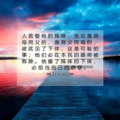 Picture 07 - 利 未 记 20:17 CUVS - 人 若 娶 他 的 姊 妹 ， 无 论 是 异 - Bible Verse Picture