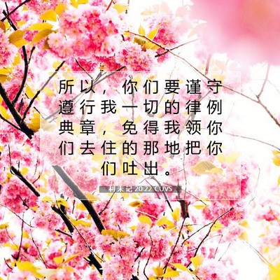 Picture 07 - 利 未 记 20:22 CUVS - 所 以 ， 你 们 要 谨 守 遵 行 我 一 - Bible Verse Picture