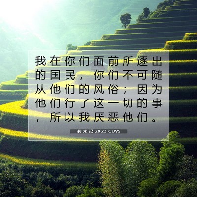 Picture 07 - 利 未 记 20:23 CUVS - 我 在 你 们 面 前 所 逐 出 的 国 民 - Bible Verse Picture