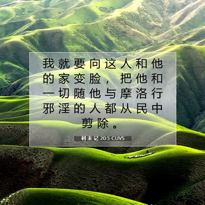 Picture 07 - 利 未 记 20:5 CUVS - 我 就 要 向 这 人 和 他 的 家 变 脸 - Bible Verse Picture