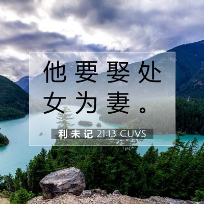 Picture 07 - 利 未 记 21:13 CUVS - 他 要 娶 处 女 为 妻 - Bible Verse Picture