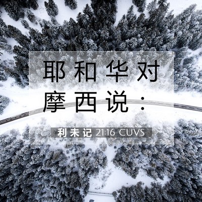 Picture 07 - 利 未 记 21:16 CUVS - 耶 和 华 对 摩 西 说 - Bible Verse Picture
