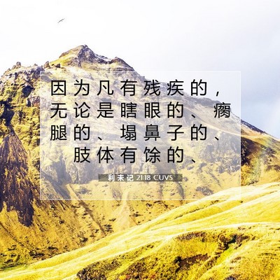 Picture 07 - 利 未 记 21:18 CUVS - 因 为 凡 有 残 疾 的 ， 无 论 是 瞎 - Bible Verse Picture
