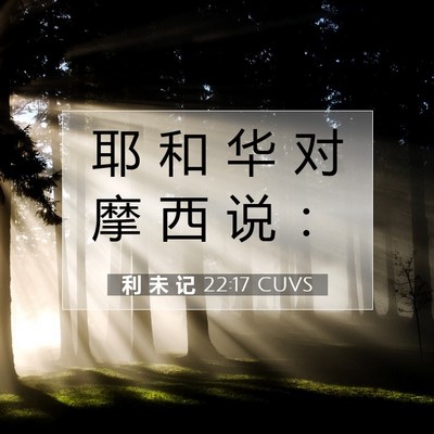 Picture 07 - 利 未 记 22:17 CUVS - 耶 和 华 对 摩 西 说 - Bible Verse Picture