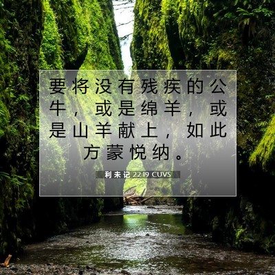 Picture 07 - 利 未 记 22:19 CUVS - 要 将 没 有 残 疾 的 公 牛 ， 或 是 - Bible Verse Picture