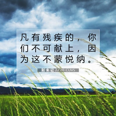 Picture 07 - 利 未 记 22:20 CUVS - 凡 有 残 疾 的 ， 你 们 不 可 献 上 - Bible Verse Picture