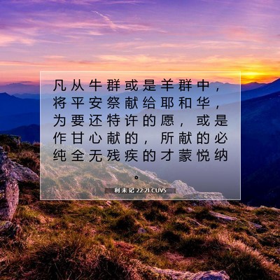 Picture 07 - 利 未 记 22:21 CUVS - 凡 从 牛 群 或 是 羊 群 中 ， 将 平 - Bible Verse Picture
