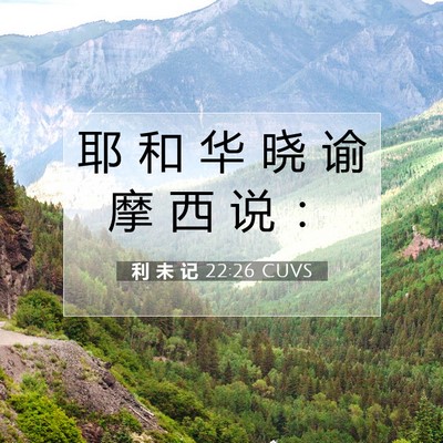 Picture 07 - 利 未 记 22:26 CUVS - 耶 和 华 晓 谕 摩 西 说 - Bible Verse Picture