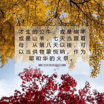 Picture 07 - 利 未 记 22:27 CUVS - 才 生 的 公 牛 ， 或 是 绵 羊 或 是 - Bible Verse Picture