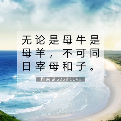 Picture 07 - 利 未 记 22:28 CUVS - 无 论 是 母 牛 是 母 羊 ， 不 可 同 - Bible Verse Picture