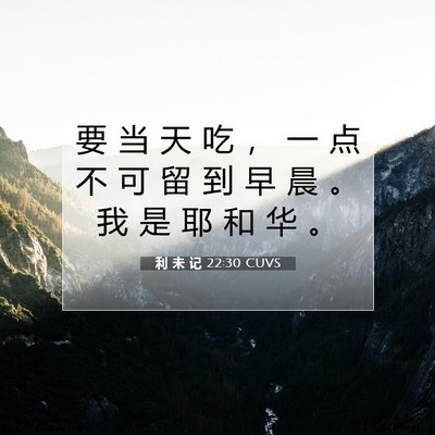 Picture 07 - 利 未 记 22:30 CUVS - 要 当 天 吃 ， 一 点 不 可 留 到 早 - Bible Verse Picture