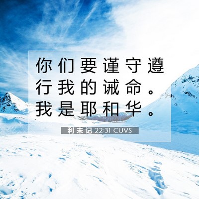 Picture 07 - 利 未 记 22:31 CUVS - 你 们 要 谨 守 遵 行 我 的 诫 命 。 - Bible Verse Picture