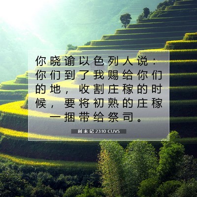 Picture 07 - 利 未 记 23:10 CUVS - 你 晓 谕 以 色 列 人 说 ： 你 们 到 - Bible Verse Picture